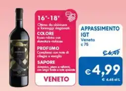 MD Discount Appassimento igt Veneto offerta