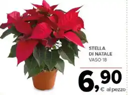 Todis Stella di natale offerta