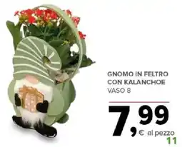 Todis Gnomo in feltro con kalanchoe offerta
