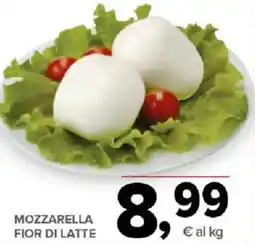 Todis Mozzarella fior di latte offerta