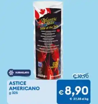 MD Discount Astice americano offerta