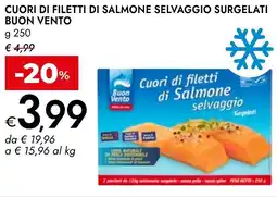 Bennet Cuori di filetti di salmone selvaggio surgelati BUON VENTO offerta