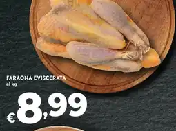 Bennet Faraona eviscerata offerta