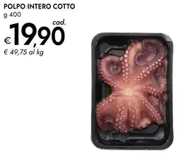 Bennet Polpo intero cotto offerta