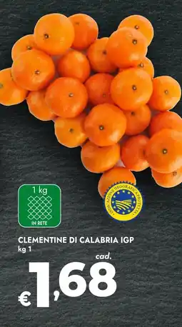 Bennet Clementine di calabria IGP offerta