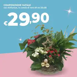 Bennet Composizione natale offerta