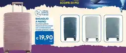 MD Discount Bagaglio a mano offerta
