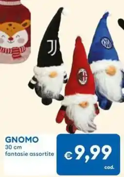 MD Discount GNOMO 30 cm offerta