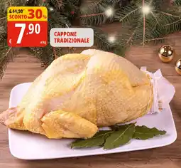 Tigros Cappone tradizionale offerta