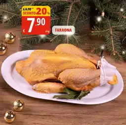 Tigros Faraona offerta