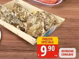 Tigros Ostriche concave offerta