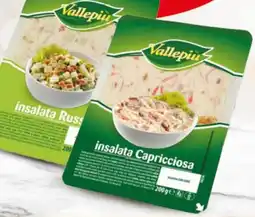 Extra Supermercati Vallepiù insalata capricciosa/ russa offerta