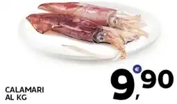 Extra Supermercati Calamari offerta