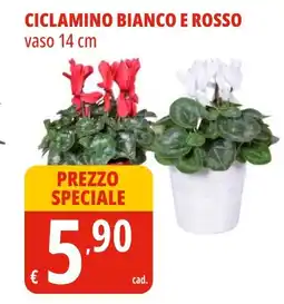 Tigros Ciclamino bianco e rosso offerta