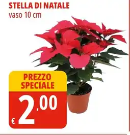 Tigros Stella di natale offerta