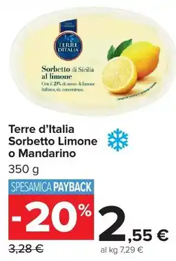 Carrefour Market Terre d'Italia Sorbetto Limone o Mandarino offerta