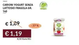 Prezzemolo e Vitale Carioni yogurt senza lattosio fragola offerta