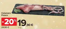 Carrefour Market Calamaro Fresco offerta