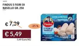 Prezzemolo e Vitale Findus 5 fiori di nasello offerta