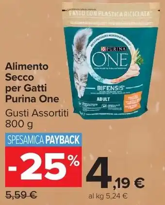 Carrefour Market Alimento Secco per Gatti Purina One offerta