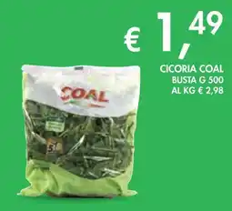 èccoMI Cicoria COAL offerta