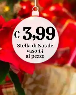 èccoMI Stella di Natale offerta