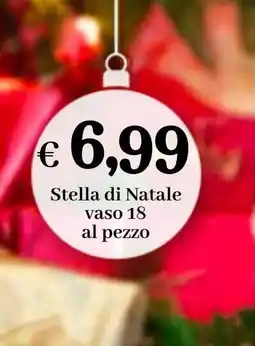 èccoMI Stella di Natale offerta