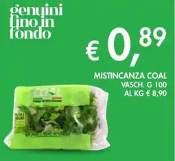 èccoMI Mistincanza coal vasch. offerta