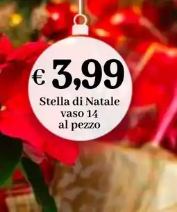 èccoMI Stella di Natale offerta