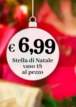 èccoMI Stella di Natale offerta