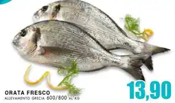 La Mimosa Supermercati Orata fresco offerta