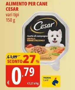 Tigros Alimento per cane CESAR offerta