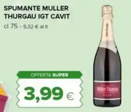 Tigre Spumante muller thurgau igt CAVIT offerta