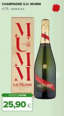 Tigre Champagne G.H. MUMM offerta