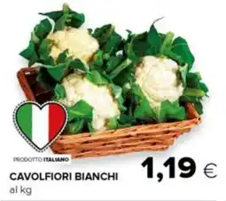 Tigre Cavolfiori bianchi offerta