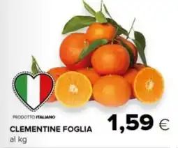Tigre Clementine foglia offerta