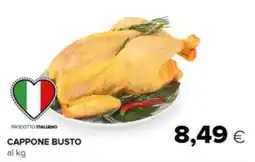 Tigre Cappone busto offerta