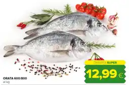 Tigre Orata 600/800 offerta