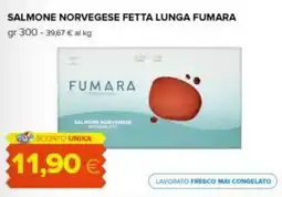 Tigre Salmone norvegese fetta lunga FUMARA offerta
