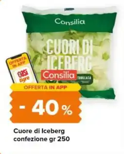 Tigre Consilia Cuore di Iceberg offerta
