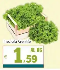 Altasfera Insalata Gentile offerta