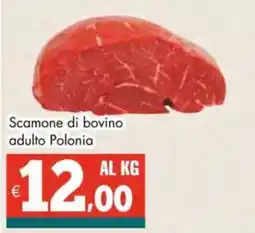Altasfera Scamone di bovino adulto Polonia offerta