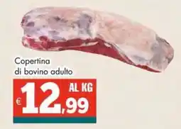 Altasfera Copertina di bovino adulto offerta