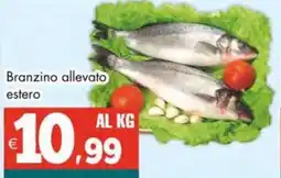 Altasfera Branzino allevato estero offerta