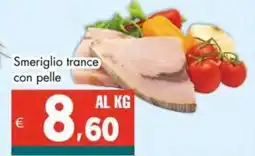 Altasfera Smeriglio trance con pelle offerta