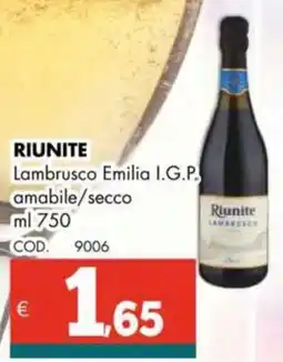 Altasfera RIUNITE Lambrusco Emilia I.G.P amabile/secco offerta