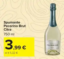 Carrefour Spumante Pecorino Brut Citra offerta