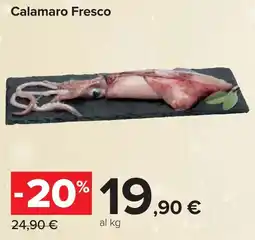 Carrefour Calamaro Fresco offerta