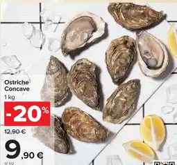 Carrefour Ostriche Concave offerta