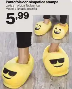 In'S Mercato Pantofola con simpatica stampa offerta